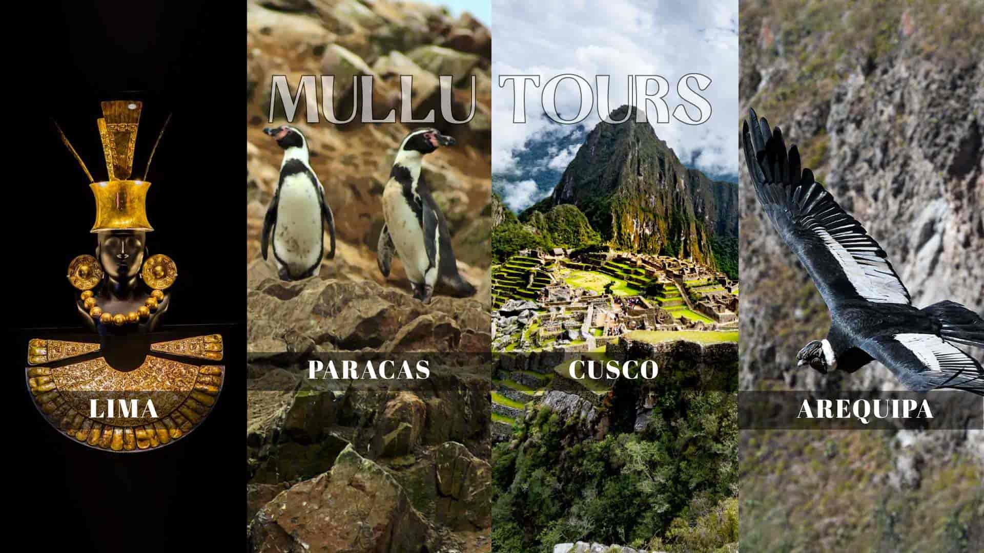 Peru Lima Cusco Paracas Tours